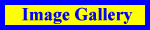 Image Gallery